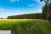 Działka budowlana Nietków. Zdjęcie 4