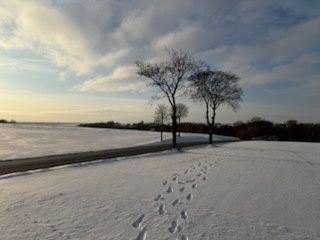 Działka budowlana Więcławice. Zdjęcie 1