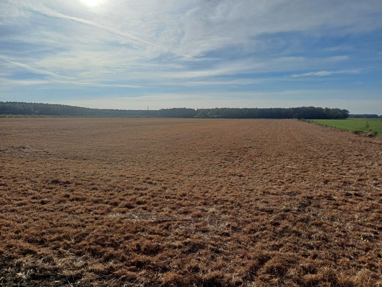 Działka rolna Zalesie. Zdjęcie 1