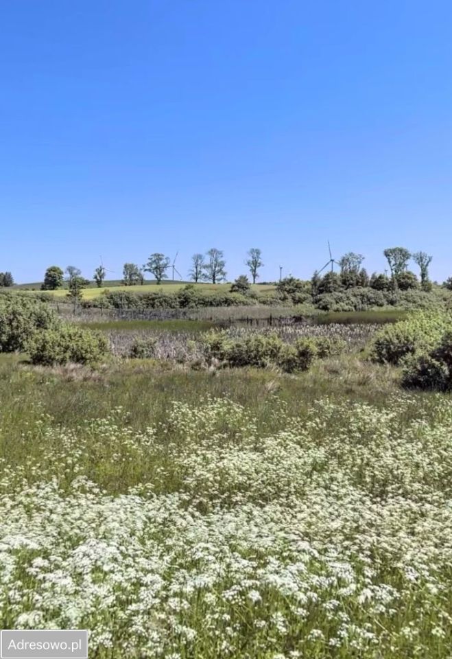 Działka budowlana Maszewko. Zdjęcie 7