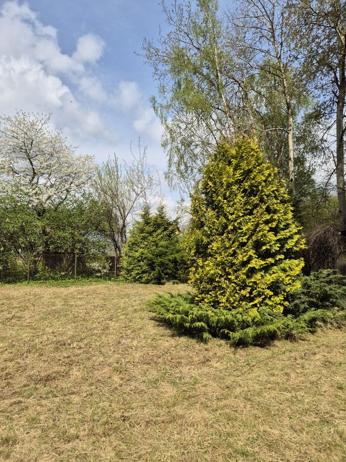 Działka rod Klebark Mały. Zdjęcie 6