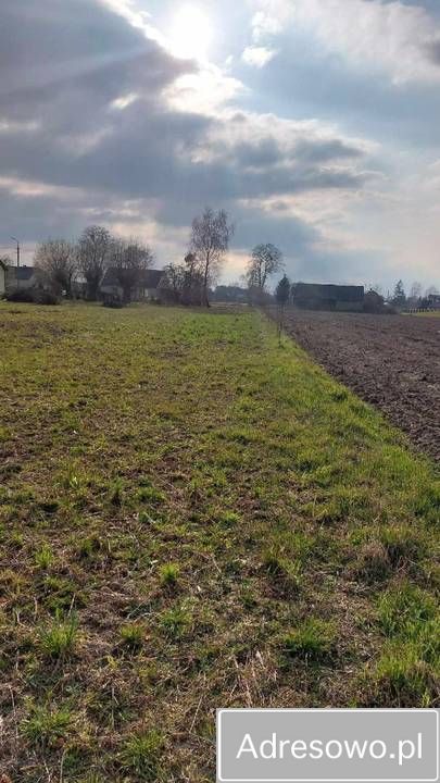 Działka budowlana Kondrajec. Zdjęcie 8