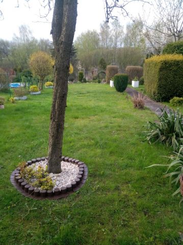 Działka rekreacyjna Bytom, ul. Węglowa. Zdjęcie 1