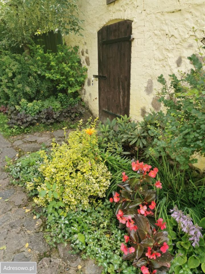 siedlisko, 3 pokoje Krzywe. Zdjęcie 20