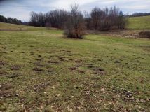 Działka budowlana Kobysewo, ul. Przodkowska. Zdjęcie 2