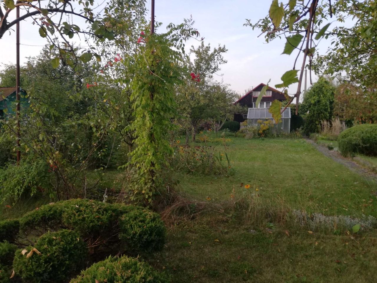 Działka rod Opole, ul. Częstochowska. Zdjęcie 5