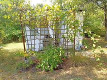 Działka rod Wrocław Krzyki, ul. Koszycka. Zdjęcie 4