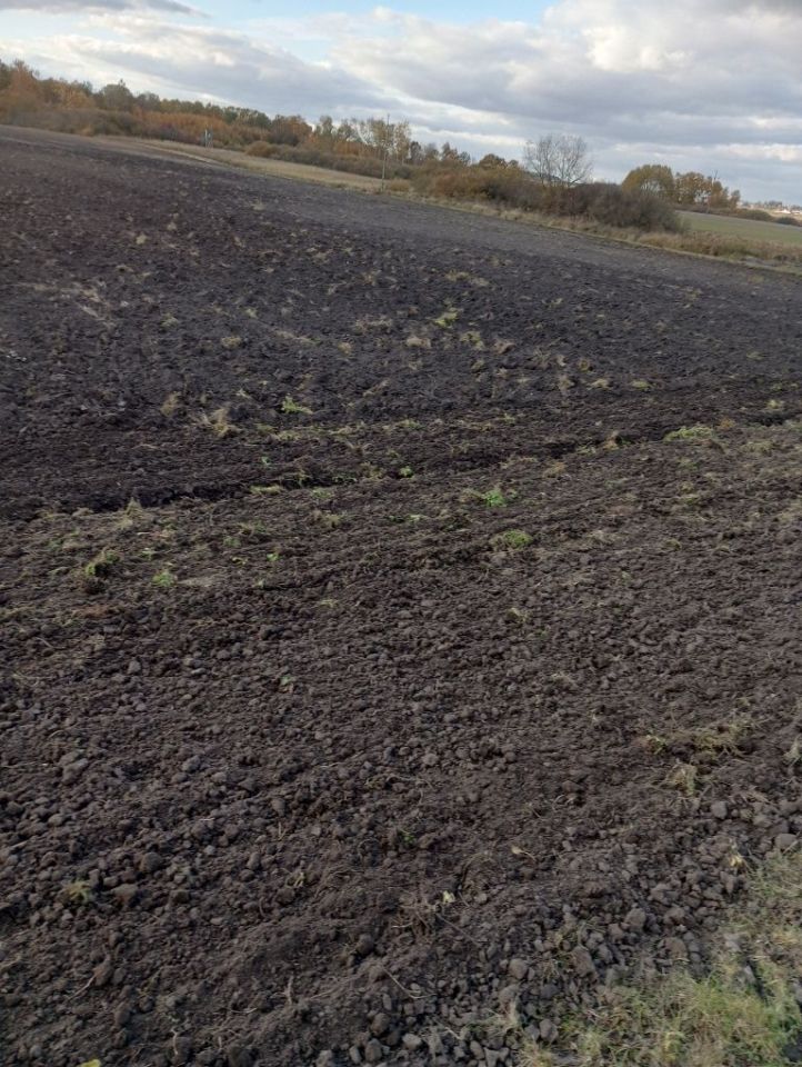 Działka rolna Niewirków. Zdjęcie 5