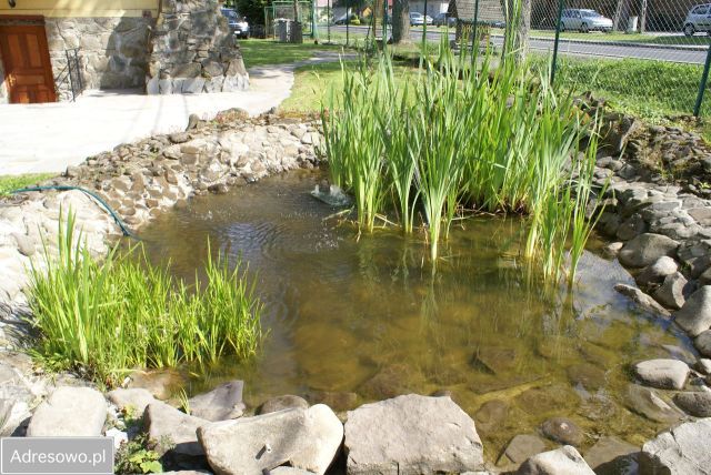 Hotel/pensjonat Zawoja. Zdjęcie 8