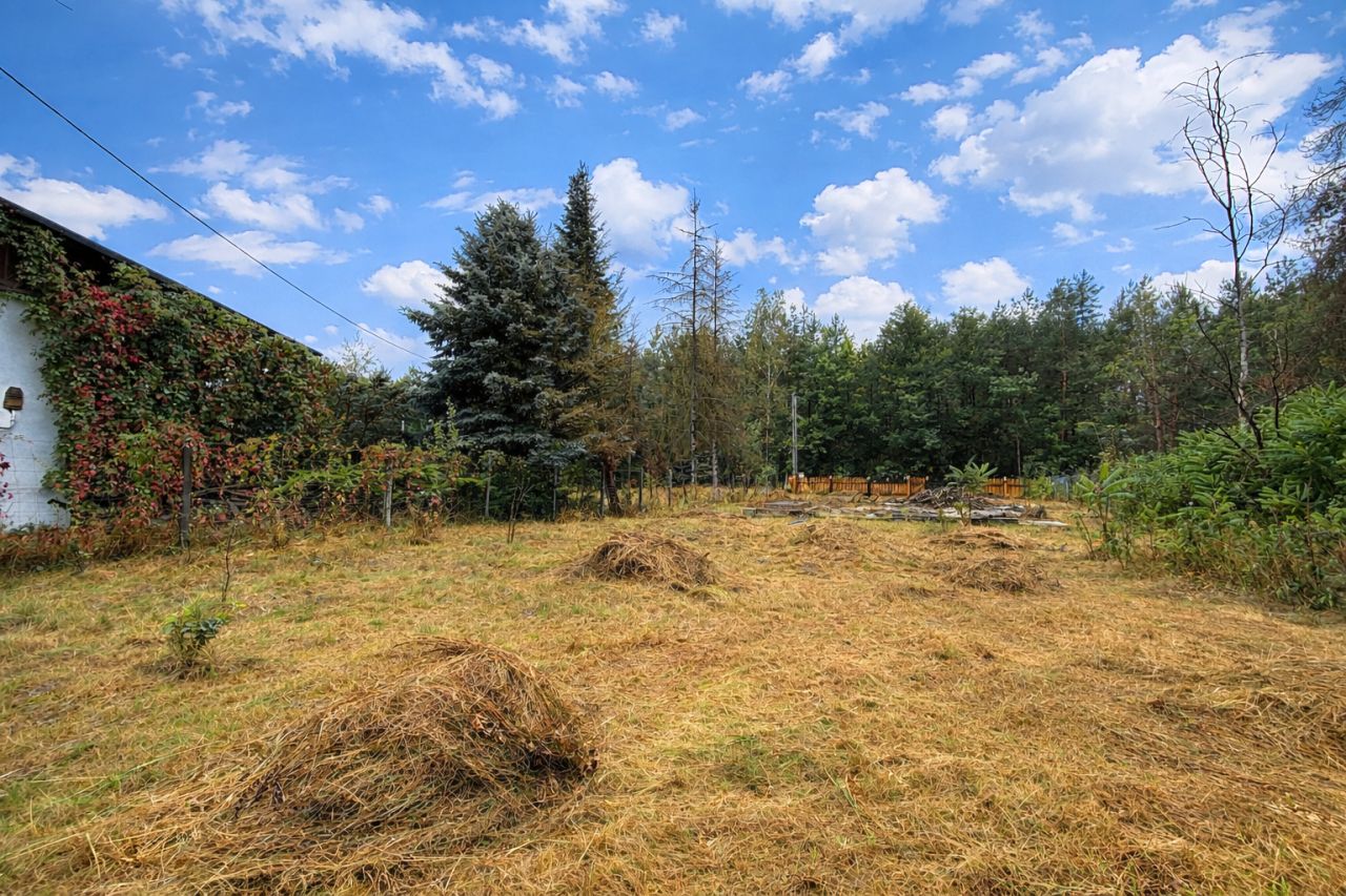 Działka budowlana Chinów. Zdjęcie 1