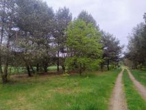Działka budowlana Władysławowo. Zdjęcie 3
