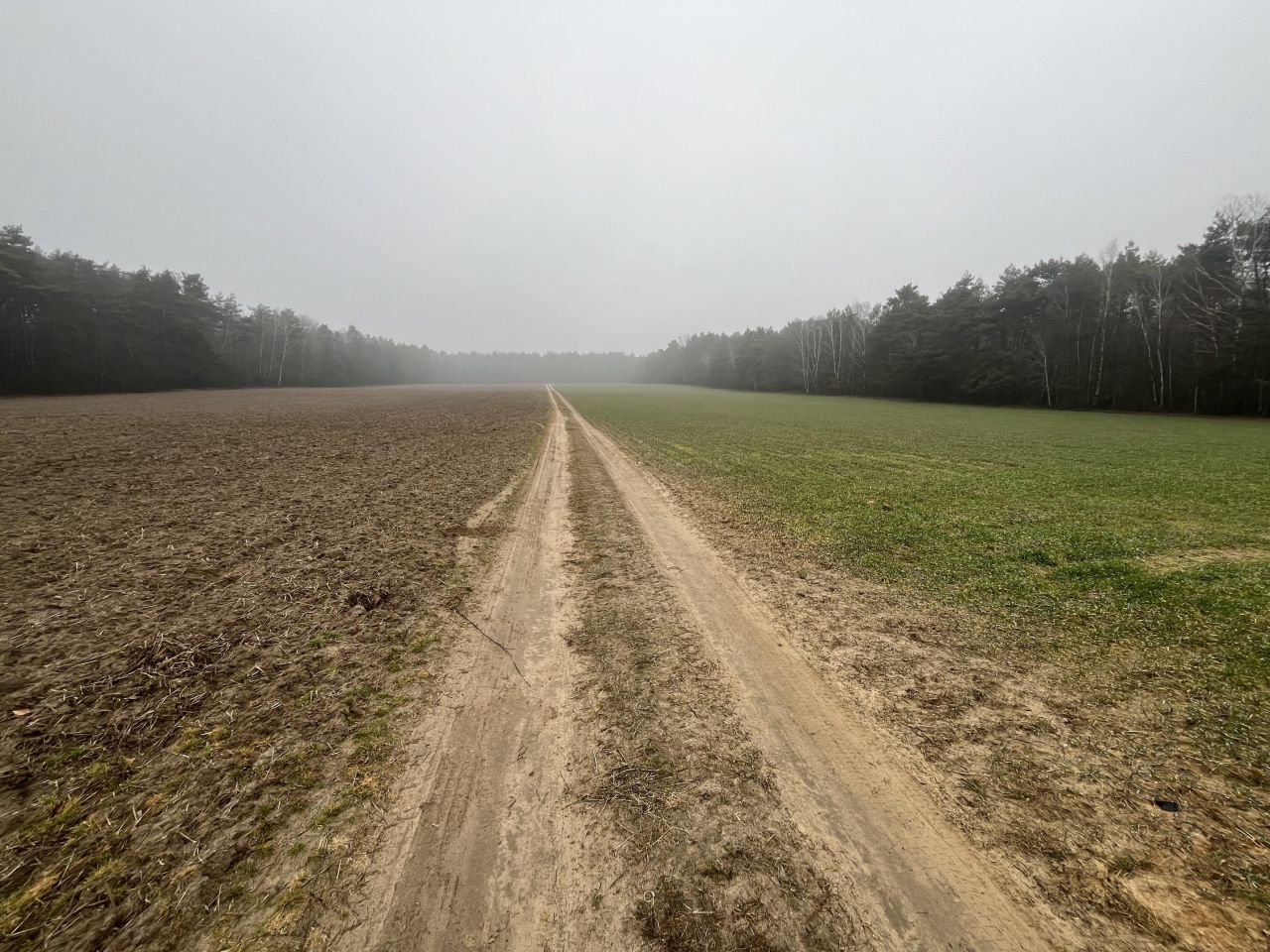Działka budowlana Ludwikowo. Zdjęcie 3
