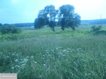 Działka budowlana Bobrowo. Zdjęcie 2