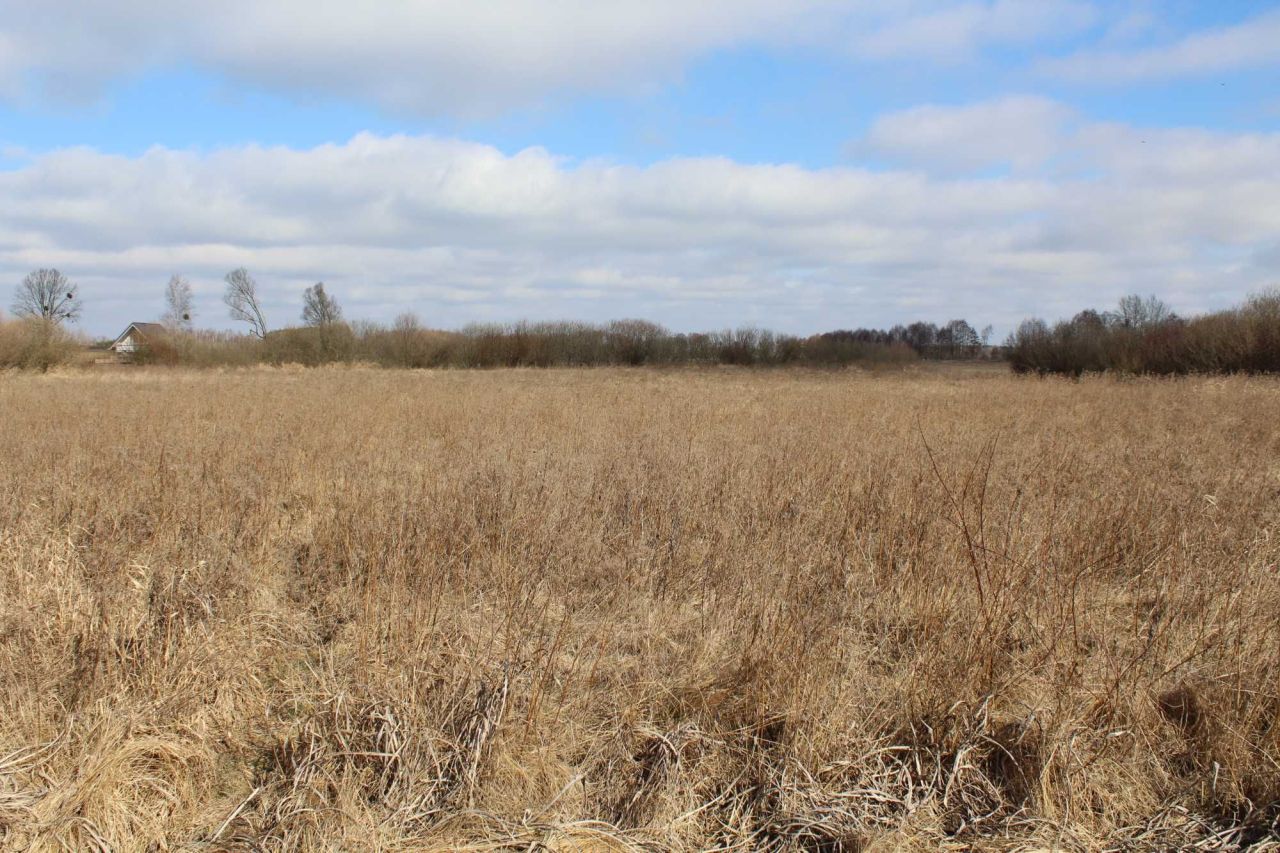 Działka rolna Kwik. Zdjęcie 8