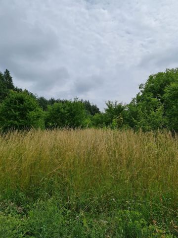 Działka budowlana Oleszno, ul. Lednicka. Zdjęcie 6