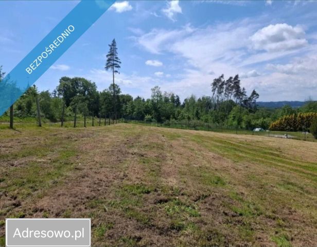 Działka inwestycyjna Kudowa-Zdrój. Zdjęcie 1