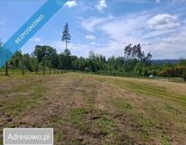 Działka inwestycyjna Kudowa-Zdrój
