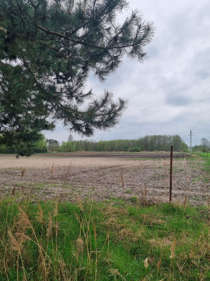 Działka budowlana Karpiny, Brak. Zdjęcie 3