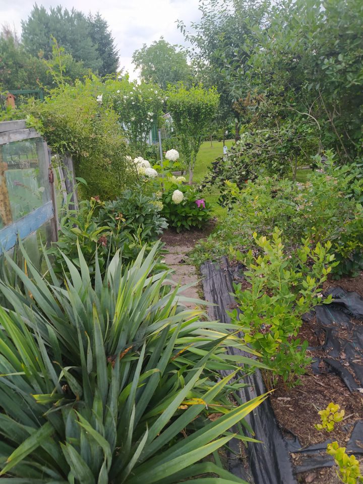 Działka rod Nowy Sącz Nowa Kolonia, ul. 29 Listopada. Zdjęcie 3