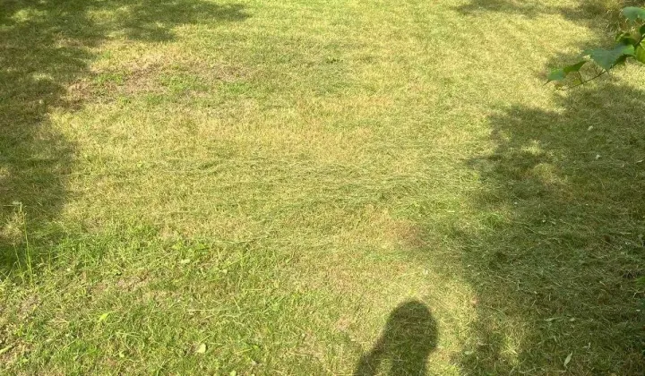 Działka rod Warszawa Wawer