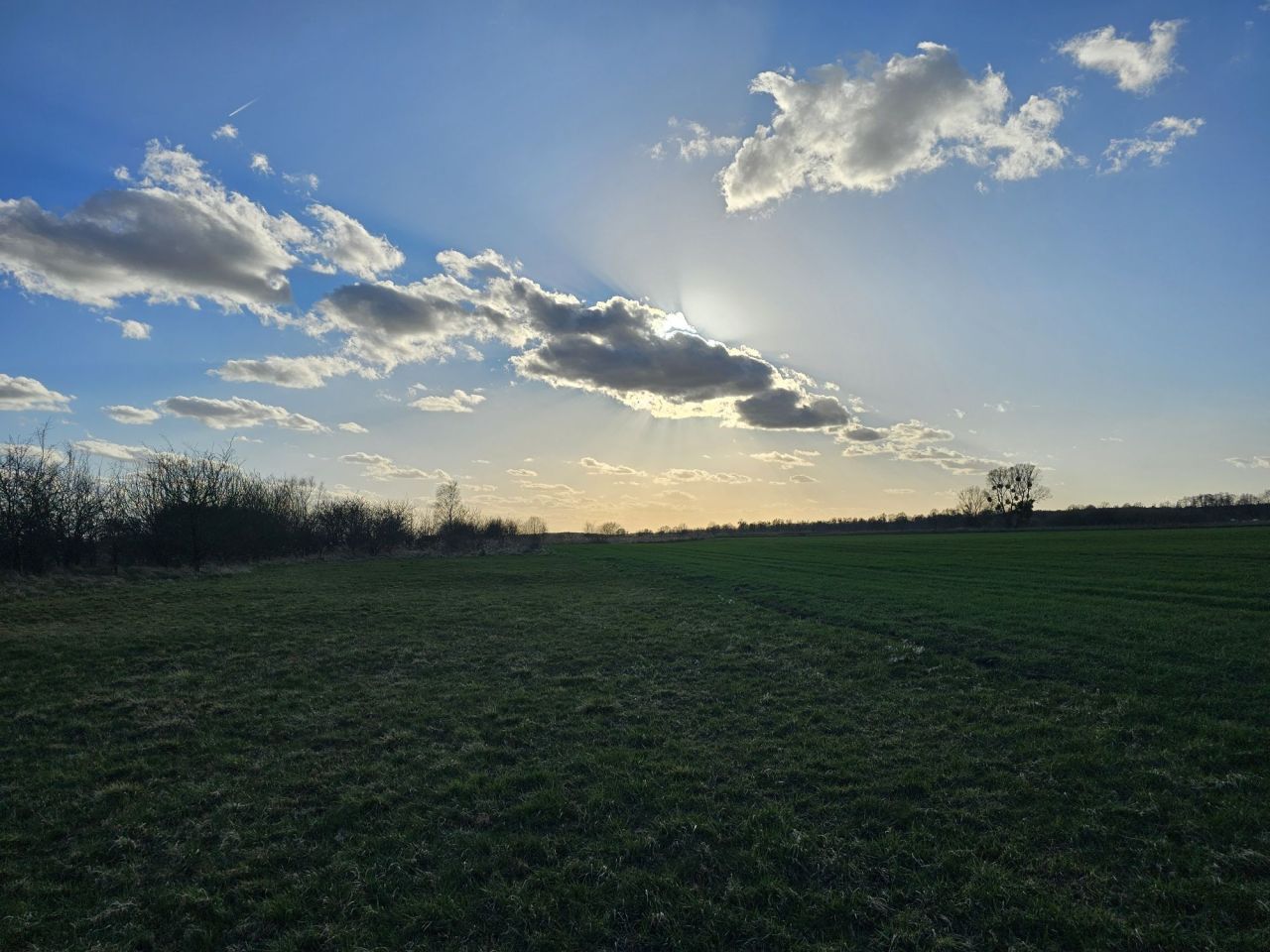 Działka rolno-budowlana Jaryń. Zdjęcie 3