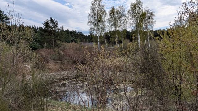Działka rolna Nowe Miasto. Zdjęcie 3
