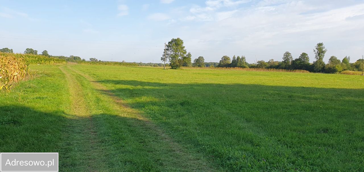 Działka rolna Olszowiec. Zdjęcie 2