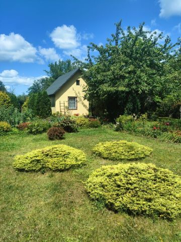 Działka rod Wilkanowo. Zdjęcie 1