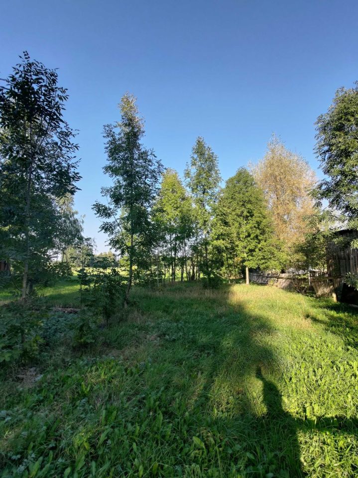 Działka siedliskowa Wólka Miedzyńska. Zdjęcie 8