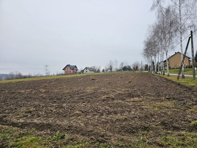 Działka budowlana Buczyna Zalesie. Zdjęcie 1