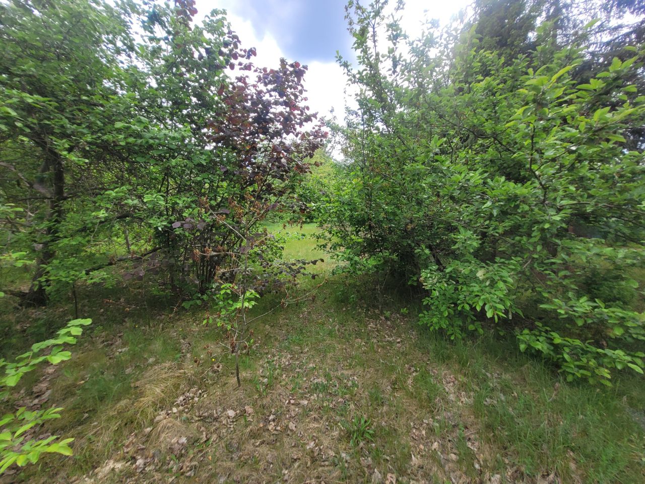 Działka rolno-budowlana Kania Nowa, ul. Serocka. Zdjęcie 12