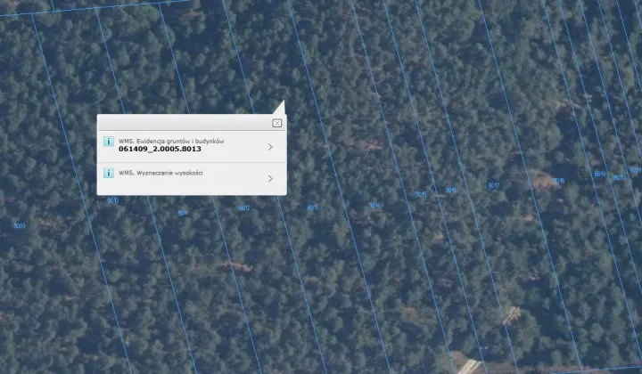 Działka leśna Niebrzegów