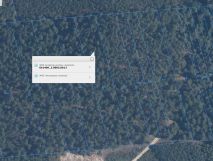 Działka leśna Niebrzegów