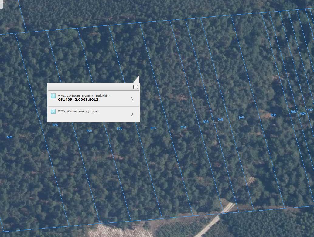 Działka leśna Niebrzegów