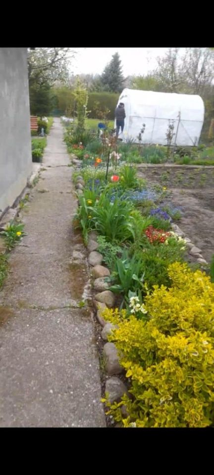 Działka rod Lubsko. Zdjęcie 5