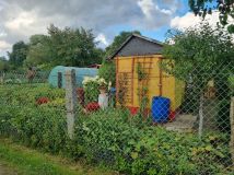 Działka rod Żagań. Zdjęcie 4