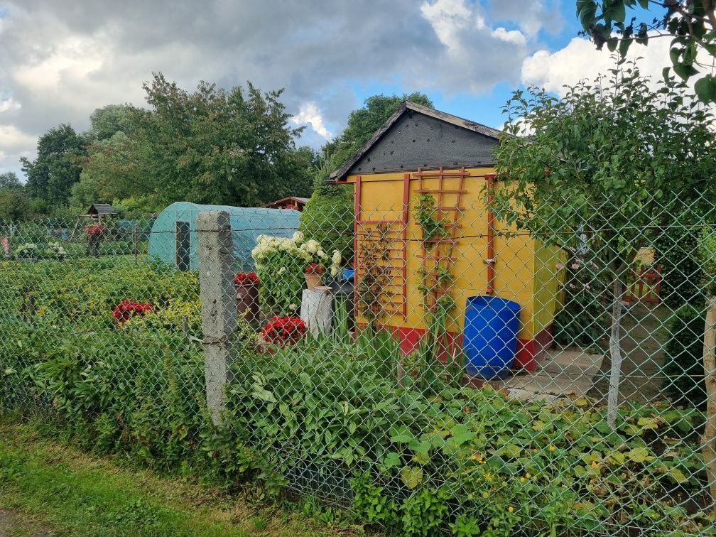 Działka rod Żagań. Zdjęcie 5