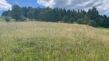 Działka rolno-budowlana Stara Wieś. Zdjęcie 3