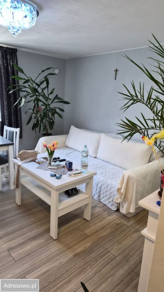 Mieszkanie 7-pokojowe Dzierżoniów, ul. Adama Asnyka. Zdjęcie 1
