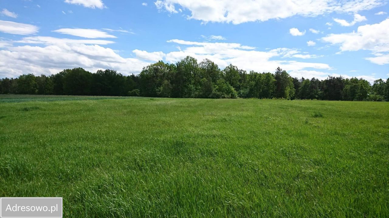 Działka inna Moszczenica. Zdjęcie 5