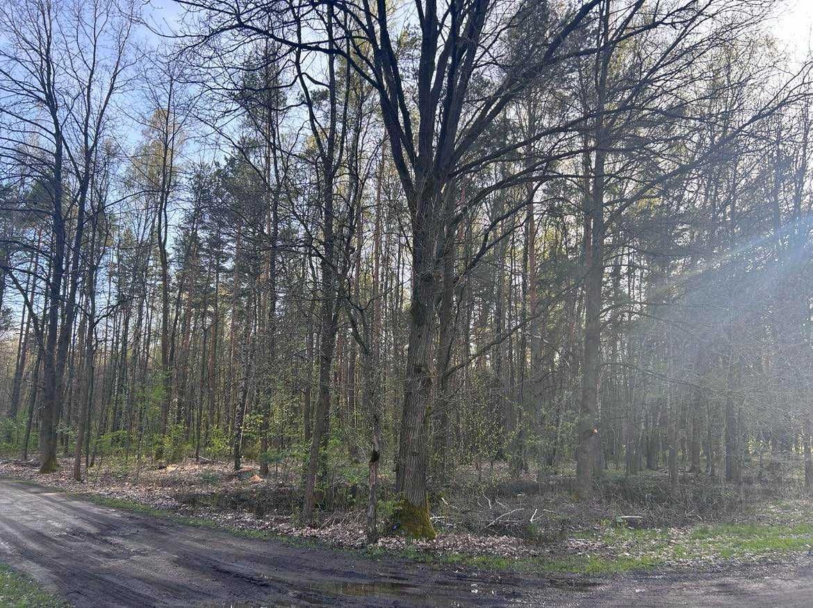 Działka Wiciejów. Zdjęcie 3