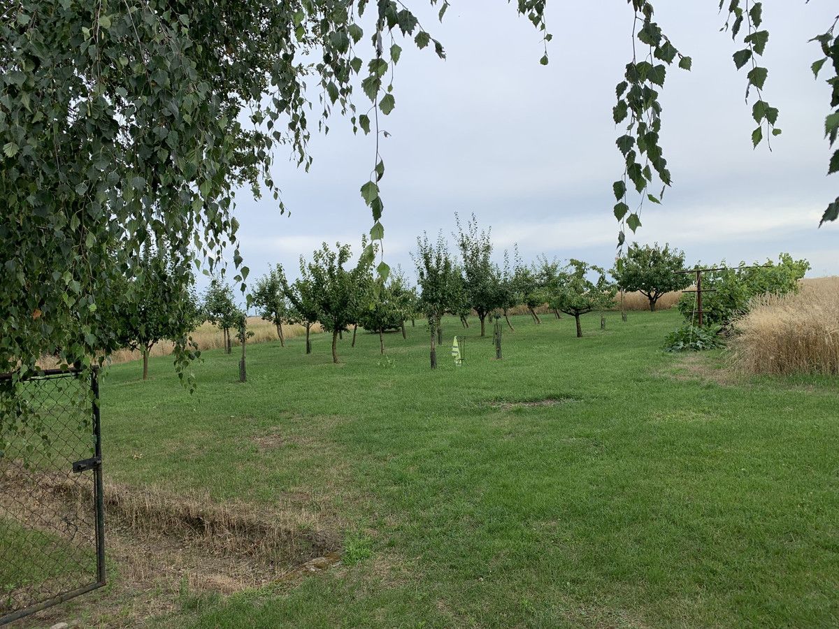 dom wolnostojący, 3 pokoje Skarżyn. Zdjęcie 11