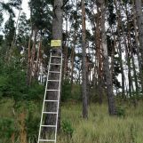 Działka leśna Sępólno Krajeńskie, ul. Niechorska. Zdjęcie 3