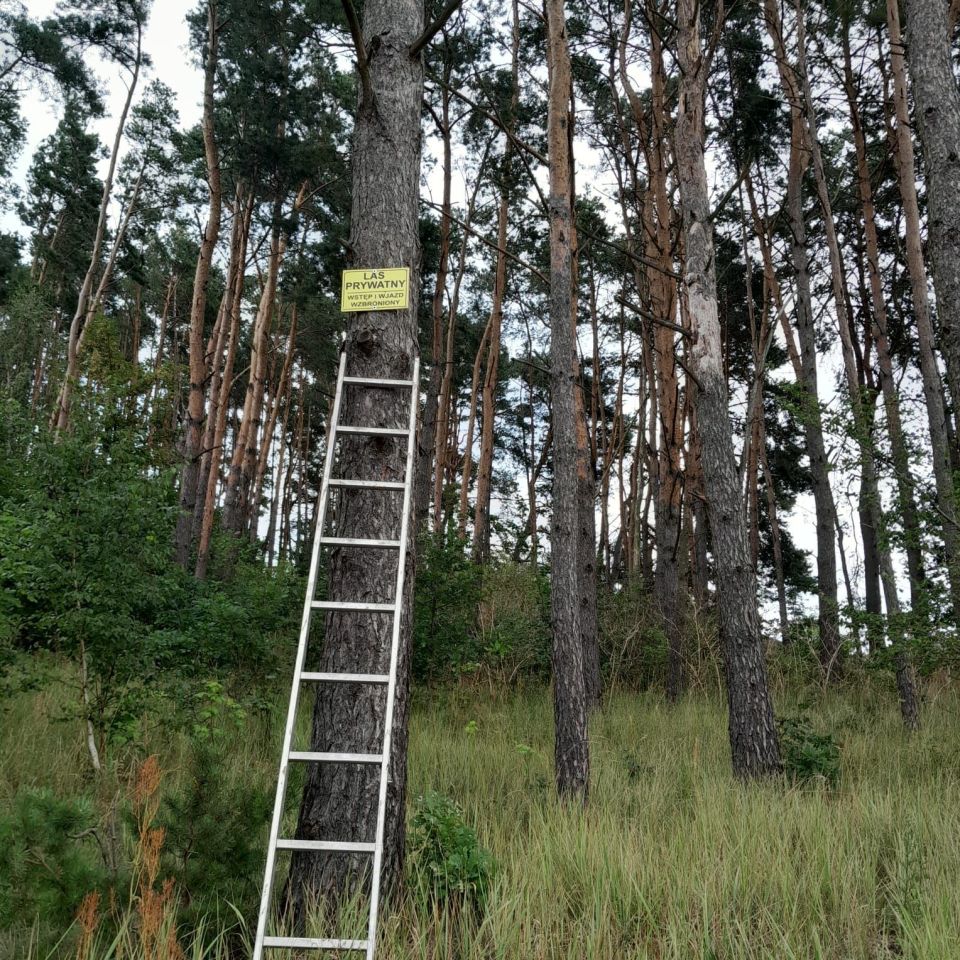 Działka leśna Sępólno Krajeńskie, ul. Niechorska. Zdjęcie 4