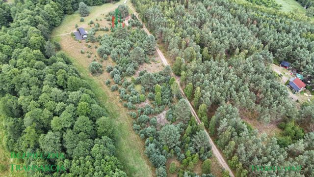 Działka rekreacyjna Zimne Zdroje. Zdjęcie 1