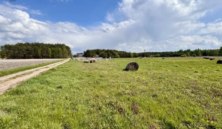 Działka budowlana Stary Adamów, ul. Działkowa