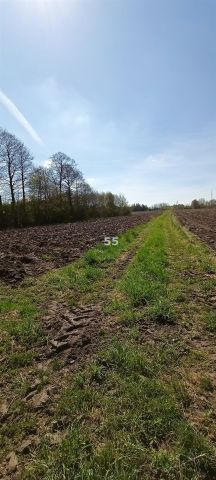 Działka budowlana Brużyczka Mała. Zdjęcie 4