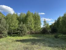 Działka rolno-budowlana Lipiny. Zdjęcie 4