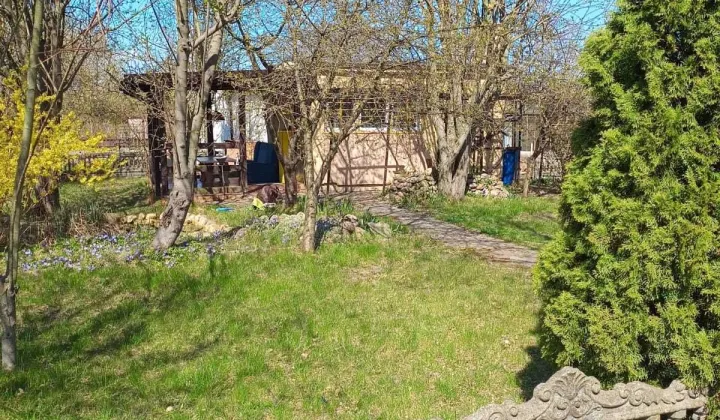Działka rod Rogoźno
