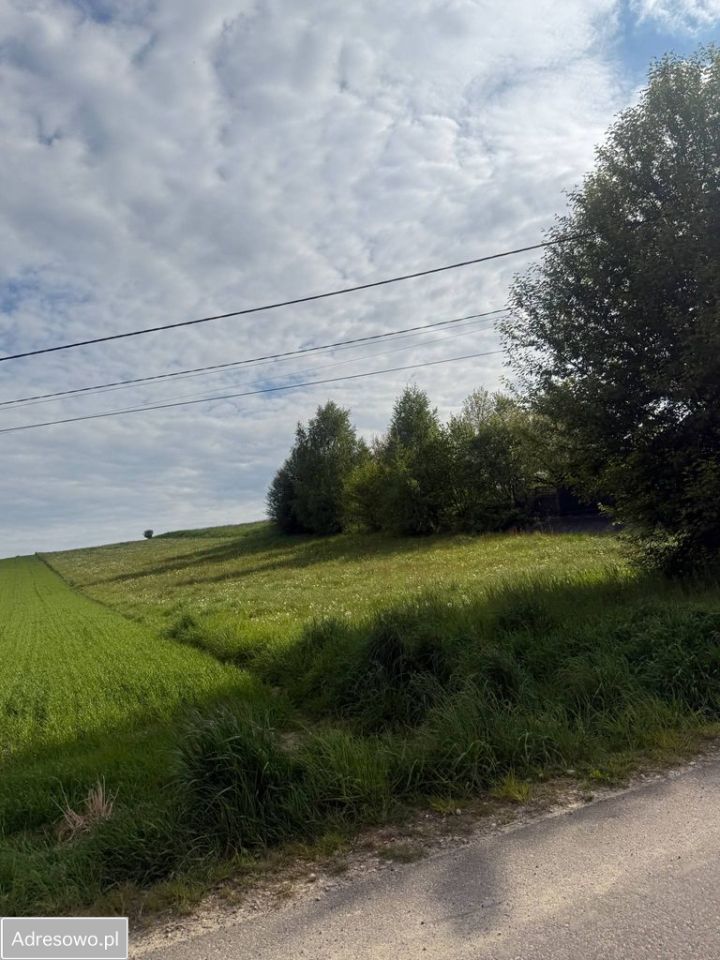 Działka rolno-budowlana Sułoszowa. Zdjęcie 5